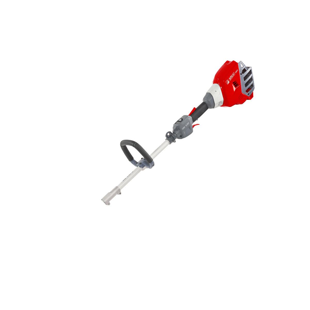 Decespugliatori a batteria DSi 530 D - Unità motore senza batteria e caricabatteria_1 | Efco