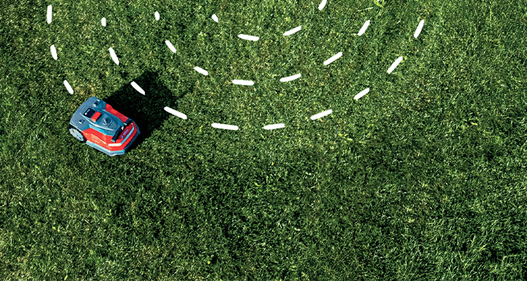 Taglio perfetto, regalo garantito! | Efco Taglio perfetto, regalo garantito! | Efco