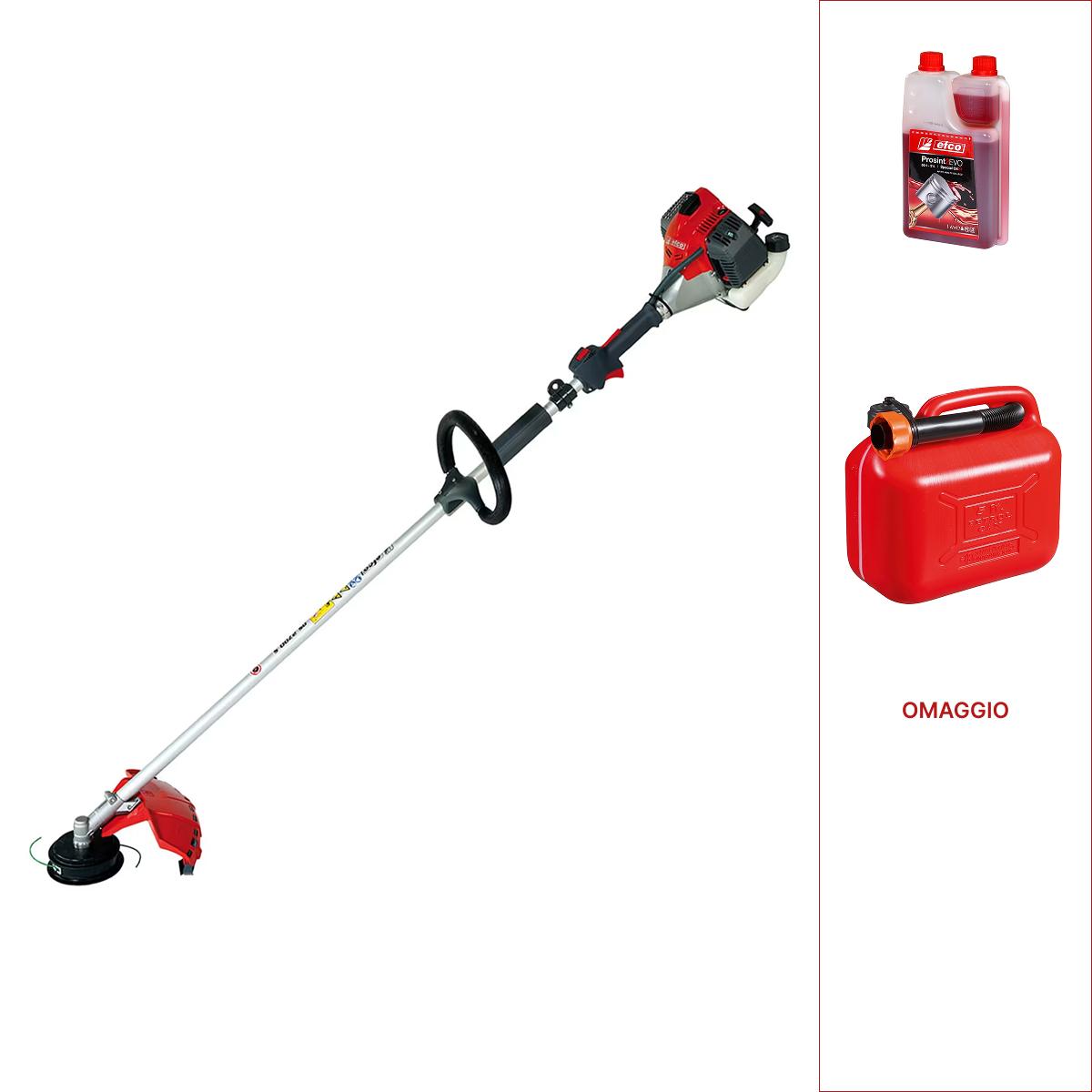 Decespugliatori di media potenza DS 2700 S_1 | Efco