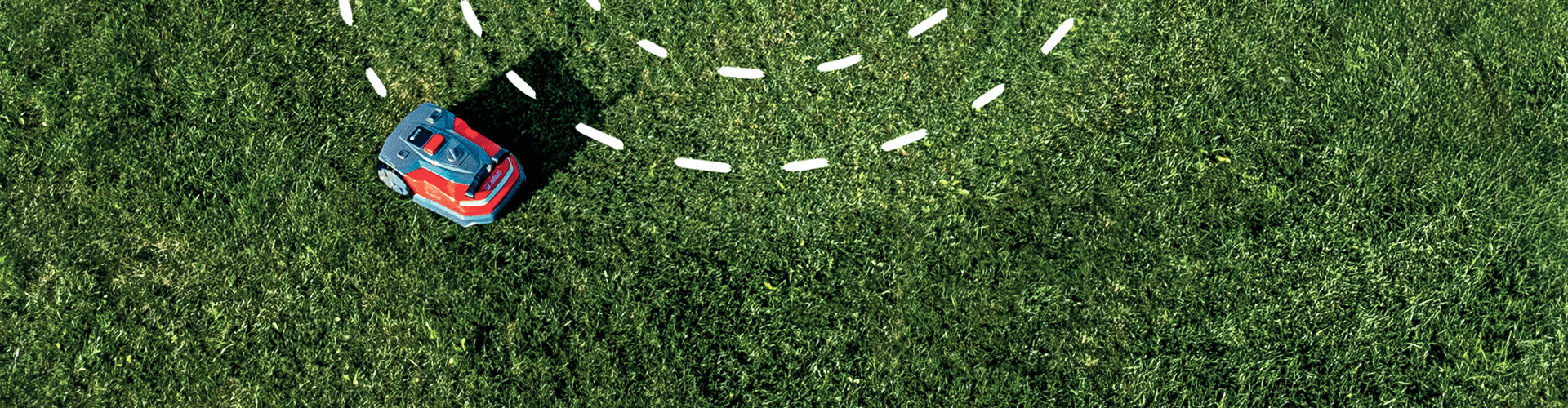 Taglio perfetto, regalo garantito! | Efco Taglio perfetto, regalo garantito! | Efco