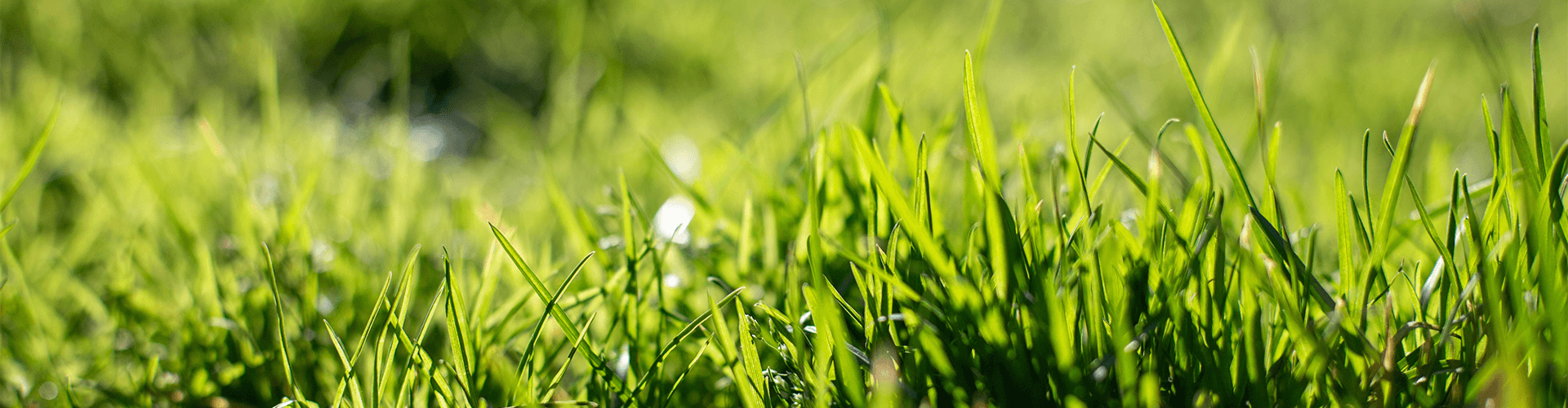 Il tuo verde, la nostra Promo Primavera! | Efco Il tuo verde, la nostra Promo Primavera! | Efco