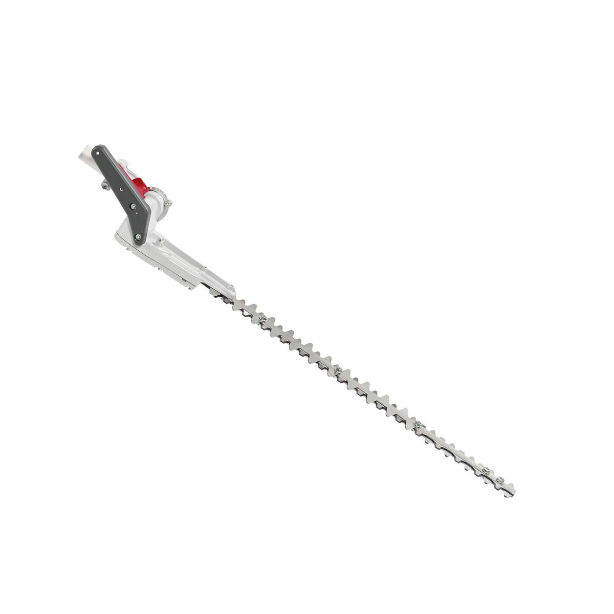 Battery-powered brushcutters DS 2410 D, DS 3000 D and DSi 530 D - Hedgetrimmer application_2 | Efco