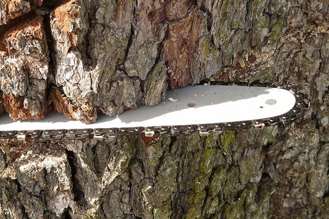 Guide to Chainsaw Guide Bars – Efco
