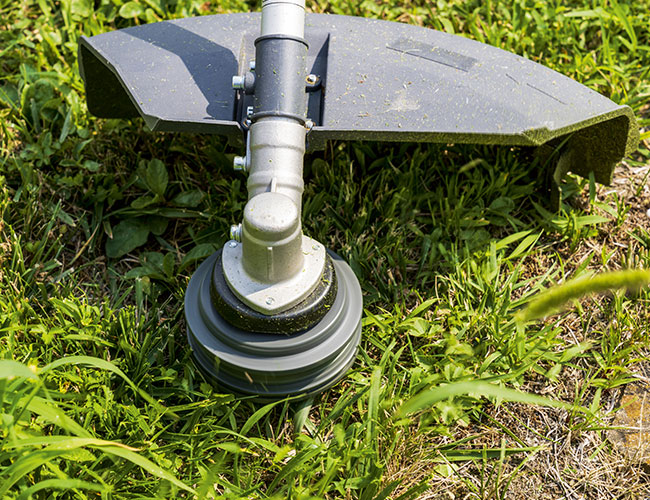 Testina Tap&Go EVO | Efco