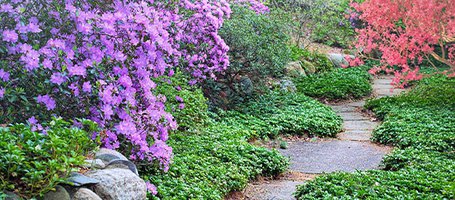 DIY path, 3 ideas for creating one in your garden
