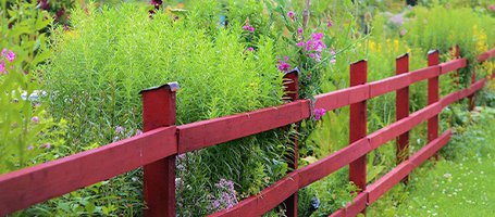 DIY wooden fence: here's how to build one cheaply