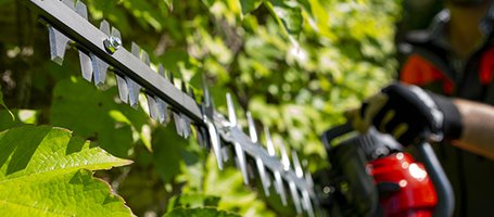 How to maintain hedgetrimmer blades