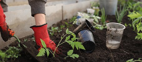 Four practical tips for making your own seedbeds