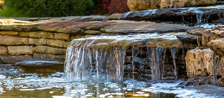 Make your own pond in simple steps