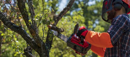 MTTH 2400 chainsaw