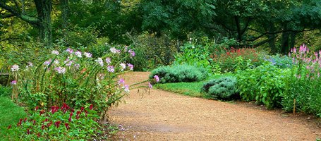 DIY gardening like a pro