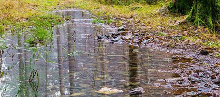 Filtering dirty water with a self-priming water pump - Efco