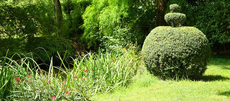 Guide to maintenance of hedges