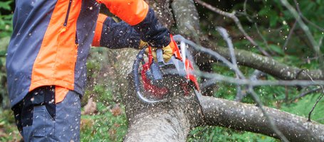 New MT 6300 chainsaw